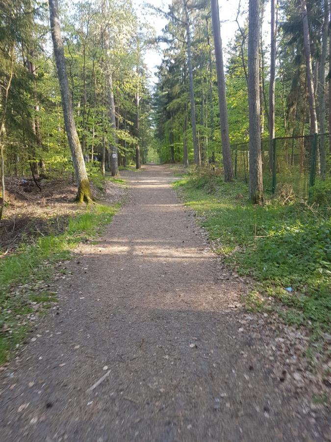 Apartmán Relax U Agi I Jurka Stegna  Exteriér fotografie